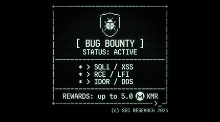 Bug bounty responsible disclosure security research program
