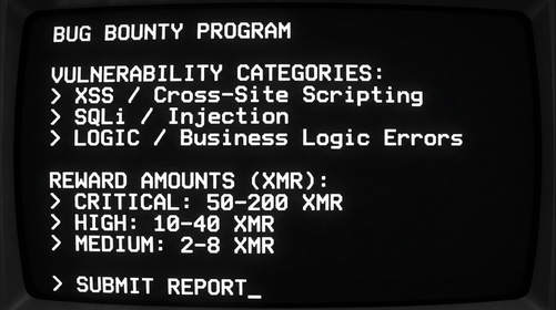 Bug bounty responsible disclosure program terminal